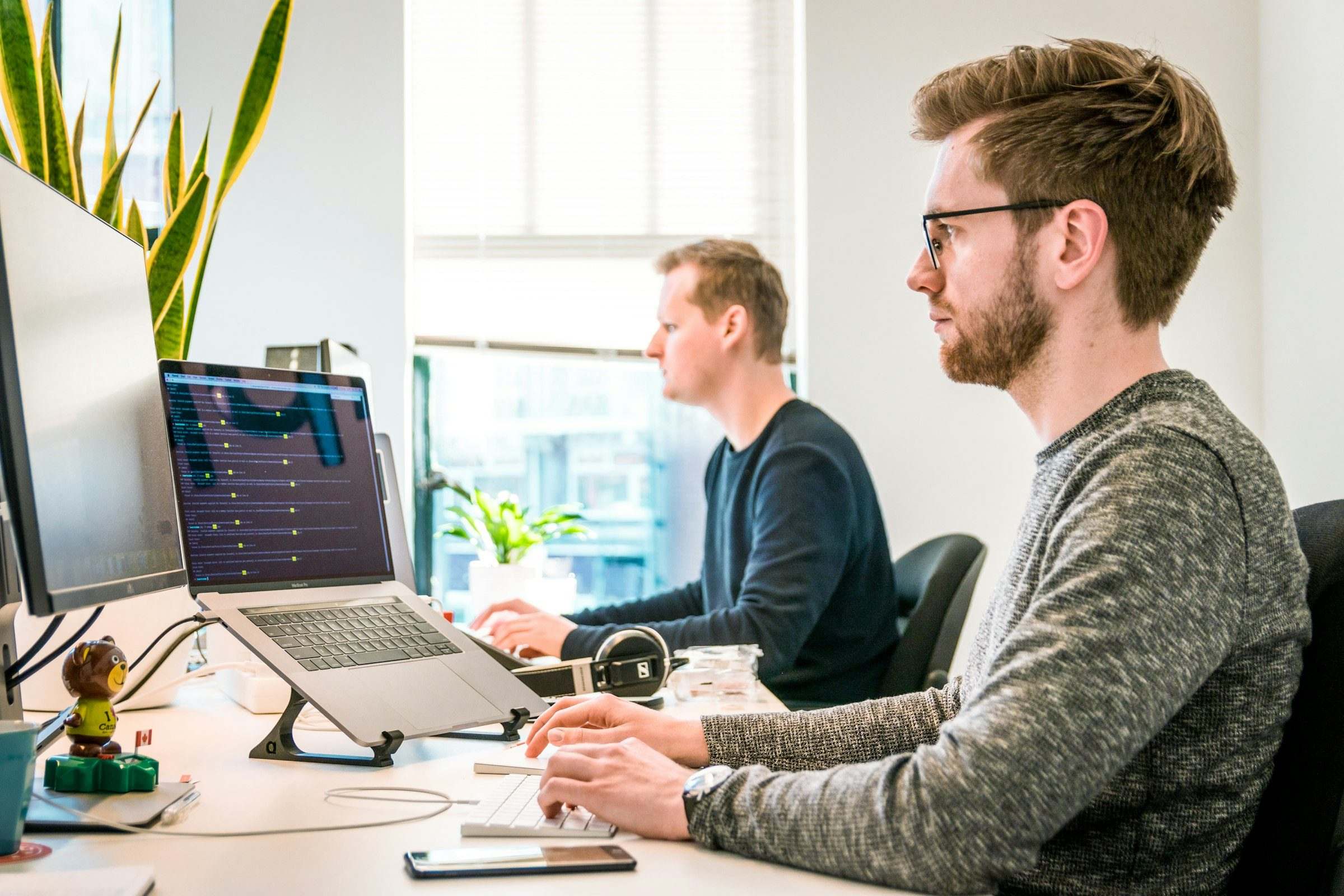 Two analysts working side by side at monitors in a bright office with plants